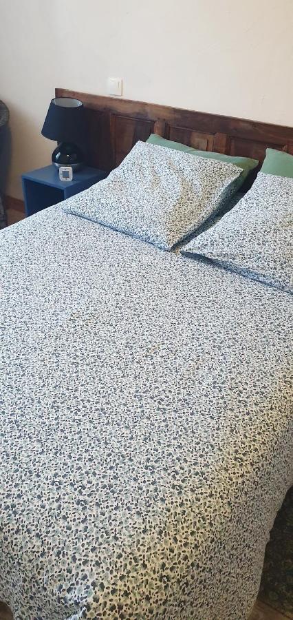 Gite Du Cafe Truchet Saint-Pancrace  エクステリア 写真
